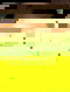 04.jpg